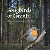Songbirds of Estonia