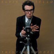 This Years Model Artwork