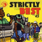 Strictly The Best Vol. 45