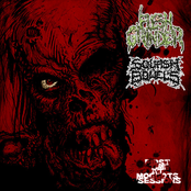 First time at maggot sessions