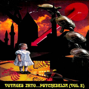 Voyages Into... Psychedelia Vol. 2