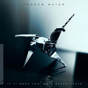 Andrew Bayer: If It Were You, We'd Never Leave (Bonus Track Version)