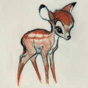 bambi chorus