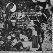 Flesh of my Skin Blood Of My Blood