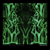 Cadillacs Set on Fire