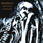 Body Parts (radio Edit) by :wumpscut: