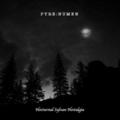 Nocturnal Sylvan Nostalgia