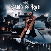 450: Wild n Rich