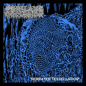Serrated Tessellation - Single