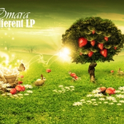 [omaramusic005] different LP