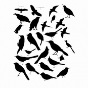 Dark Hallways & Other Ghost Songs