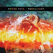 You Have Boarded by Rogue Wave