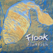 Flatfish by Flook
