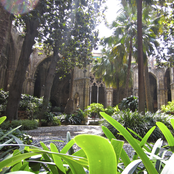 We Are Bound, All of Us, by Suffering, Even More Than by Joy