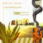 Dead Guitars by White Rose Transmission