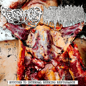 Succumb To Internal Reeking Repugnance