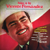 Amor En Sombras by Vicente Fernández