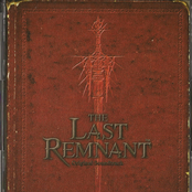 the last remnant