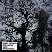 Stop making sense m#therf#cker