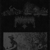 White Skin / Black Metal