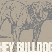 HEY BULLDOG