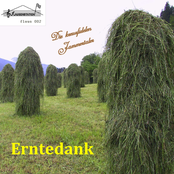 Erntedank (Flausenstation 002)