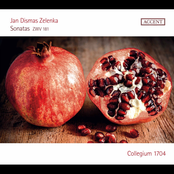 Zelenka: 6 Sonatas, ZWV 181