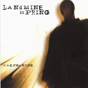 Doctrine by Landmine Spring