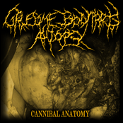 Cannibal Anatomy