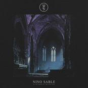 In the Chapel of the Love Bats