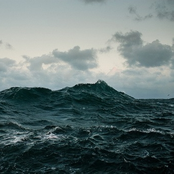 Their bodies clutter the sea