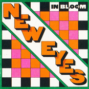 New Eyes