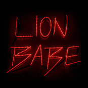 lion babe