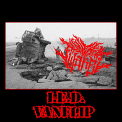 I. E. D. Vanflip