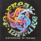 The Gathering by Freak Of Nature