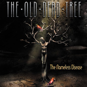 Joy & Happiness by The Old Dead Tree