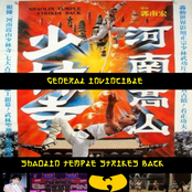 SHAOLIN TEMPLE STRIKES BACK
