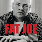My Fofo by Fat Joe
