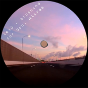 Blushing for You Aliras