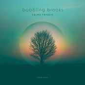 Babbling Brooks