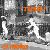 tusk!