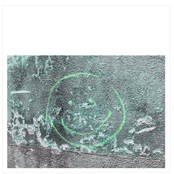 Intronics