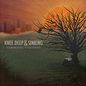 If Ignorance is Bliss, 'Tis Folly to Be Wise