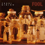 Fool by Terri Binion