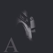 Super Casu Heresis Quondam Combuste Fuerunt