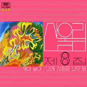 산울림 제8집 - 새야 날아