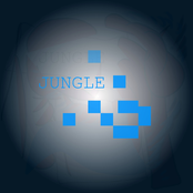 Jungle