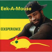 Eeksperience