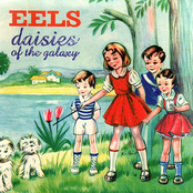 Eels: Daisies of the Galaxy