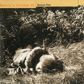 Maze Of Love by Bonnie Pink